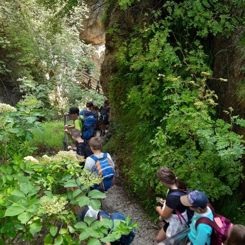 Abschlusswandertag 4b