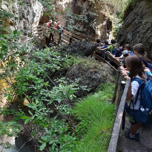 Abschlusswandertag 4b