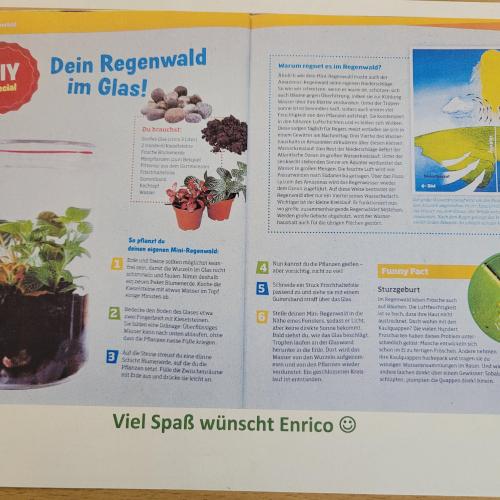 Referat Regenwald Enrico