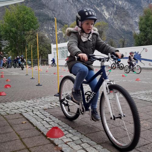 Pro Pedal 1b
