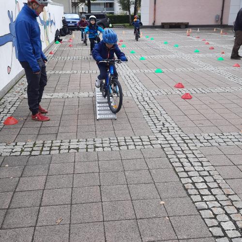 Pro Pedal 1b
