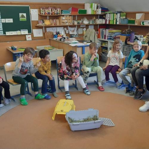 Hasenbesuch 1b