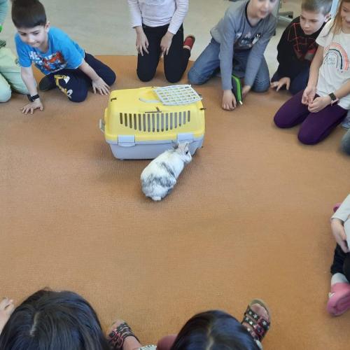Hasenbesuch 1b