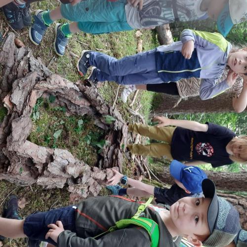 Wandertag 1. Klassen
