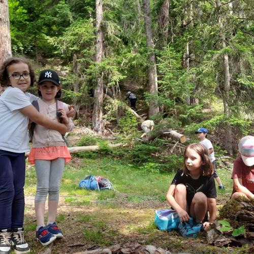 Wandertag 1. Klassen