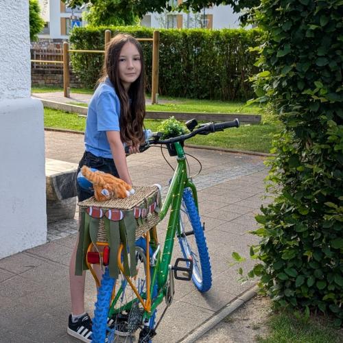 crazy bike