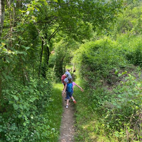 Wandertag 1. Klassen