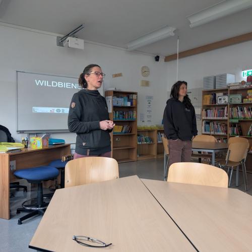 Wildbienen 3.+4. Klasse