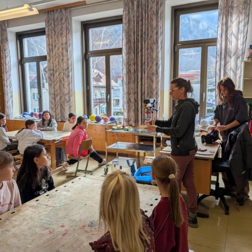 Wildbienen 3.+4. Klasse