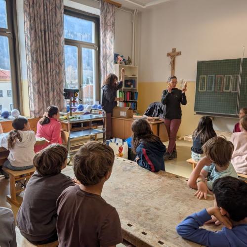 Wildbienen 3.+4. Klasse