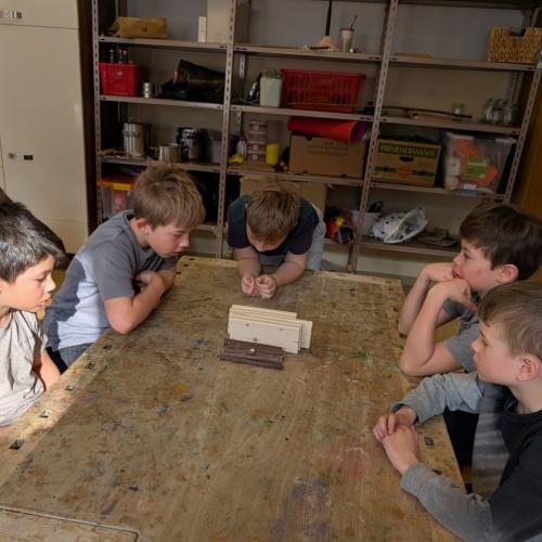 Wildbienen 3.+4. Klasse