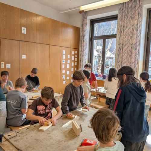 Wildbienen 3.+4. Klasse