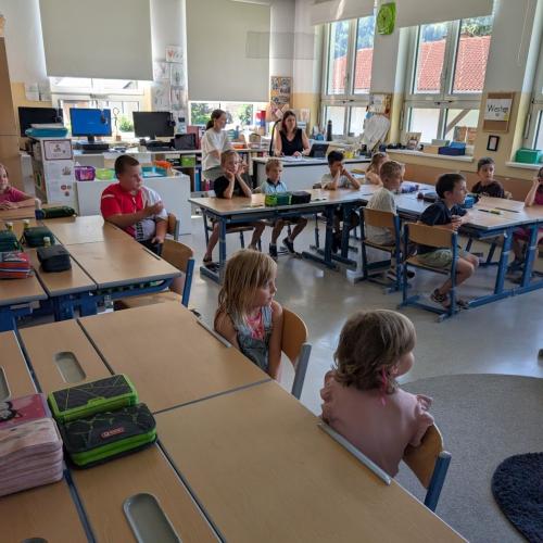 SCHUWIDU Schnuppertag