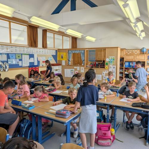 SCHUWIDU Schnuppertag