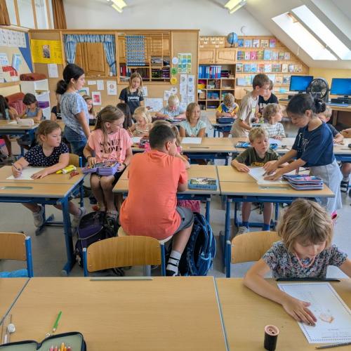 SCHUWIDU Schnuppertag