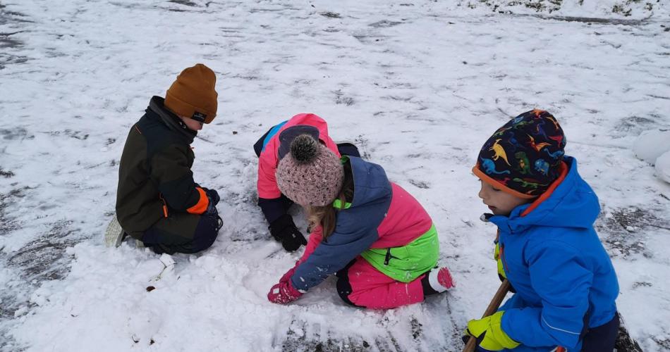 1b im Schnee