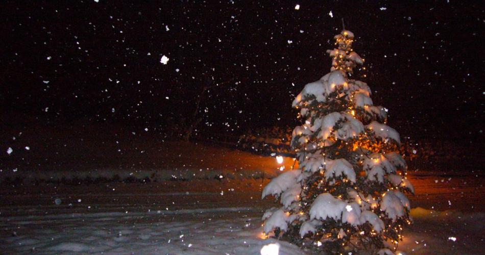 3b_Weihnachten