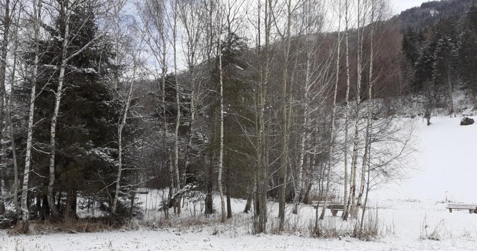 3b_Winterwonderland