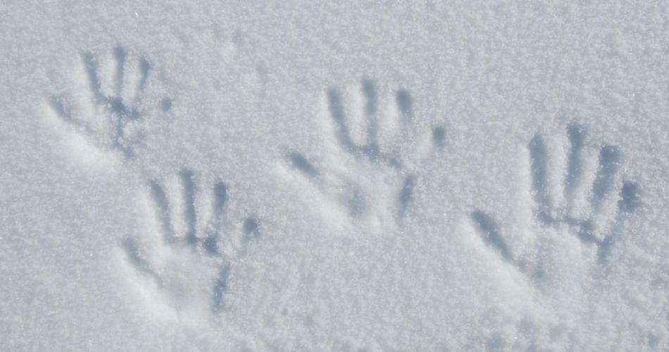3b_Schnee