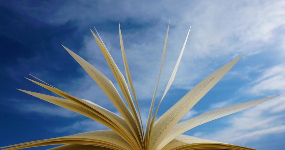 buch