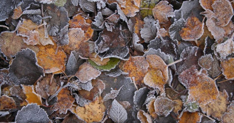 1b_Herbstwandertag