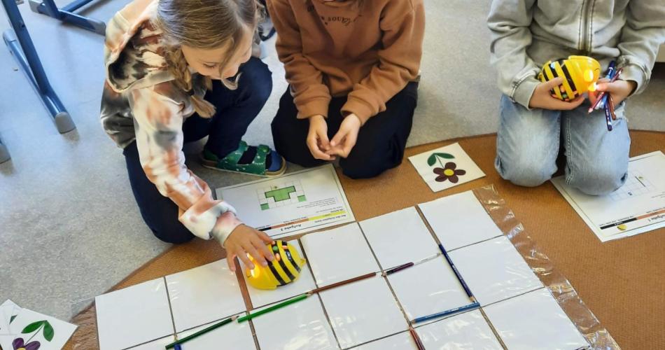 Bee-Bots 3b