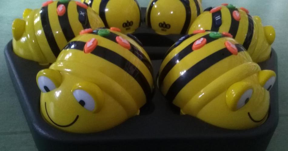 1b_Beebots