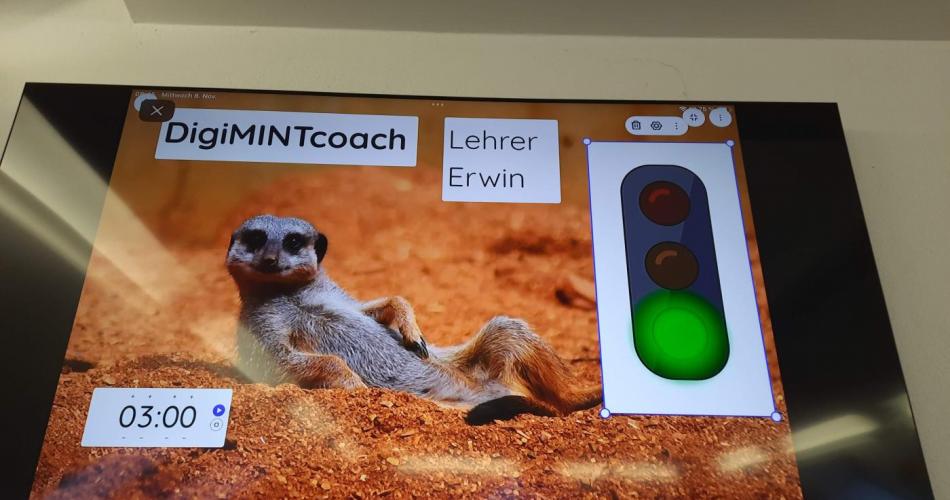 Digicoach Erwin 4b
