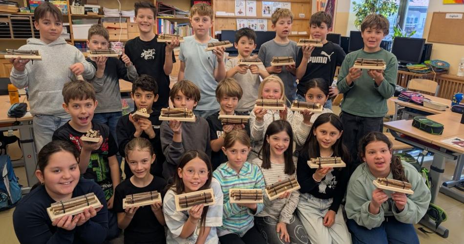 Wildbienen 3.+4. Klasse