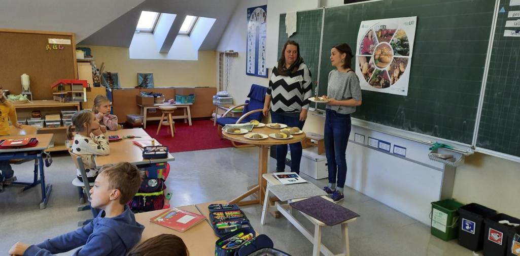 Bauernhof in der Schule Bauernhof in der Schule