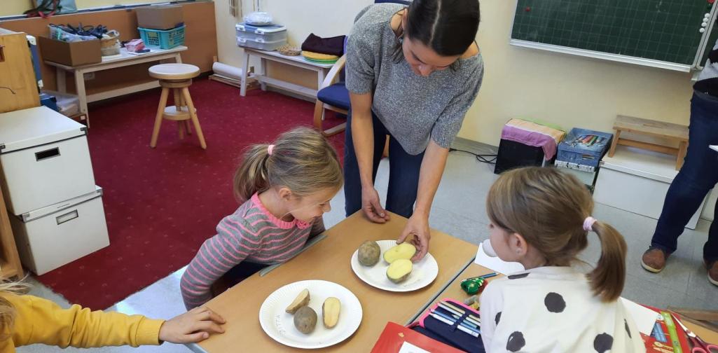 Bauernhof in der Schule Bauernhof in der Schule
