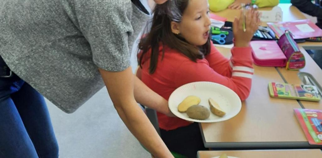 Bauernhof in der Schule Bauernhof in der Schule